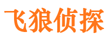 寻甸侦探公司